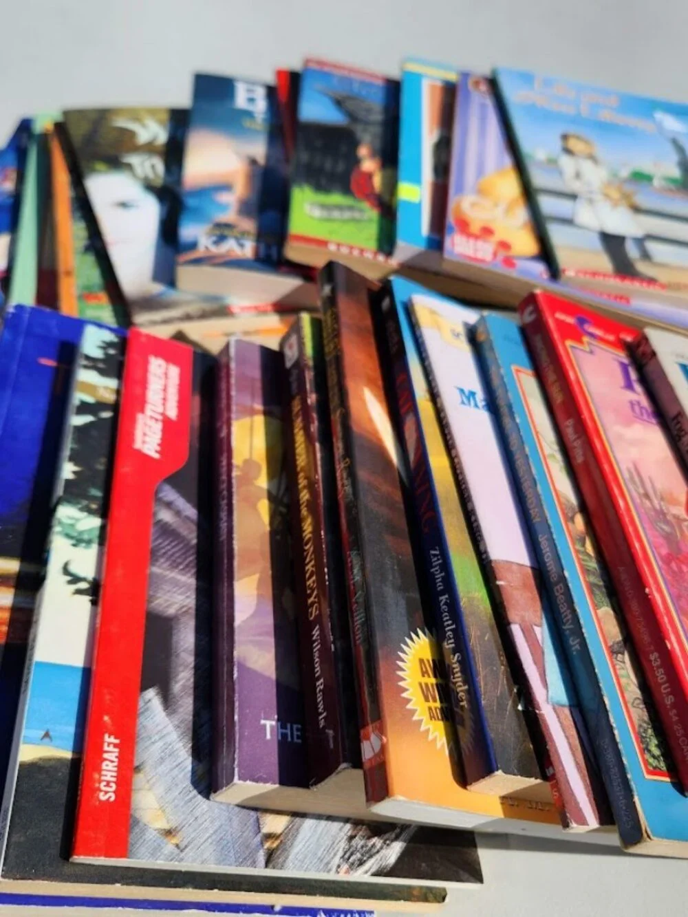 4 Book Bundle Lot Set Chapter Books Young Adult Literature Novels Mystery Books